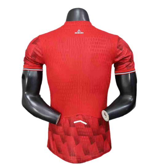 Maillot domicile Lille 25-26