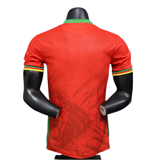 Maillot Extérieur Cameroun 24-25