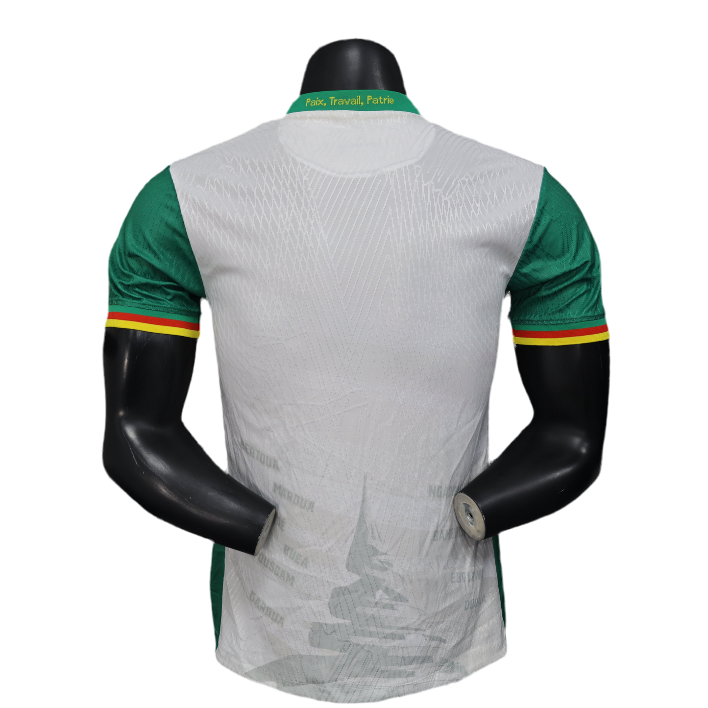 Maillot Third du Cameroun 24-25