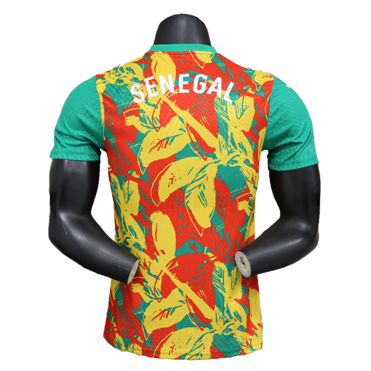Maillot d’entraînement sénégal