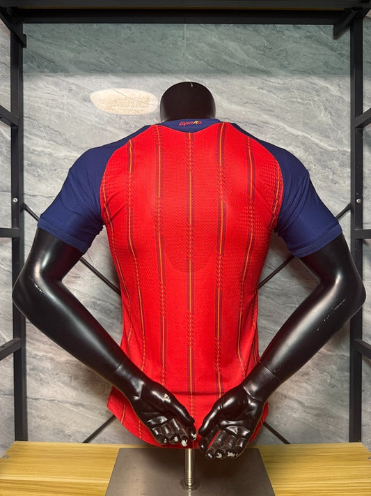 Maillot domicile Espagne