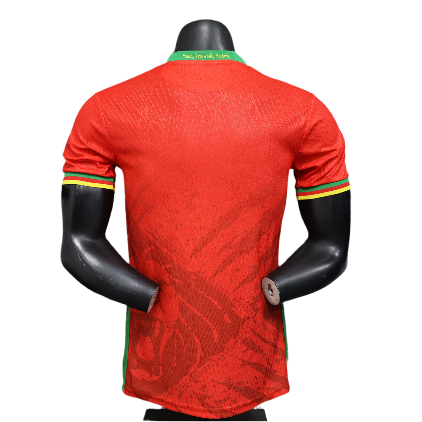 Maillot Extérieur Cameroun 24-25