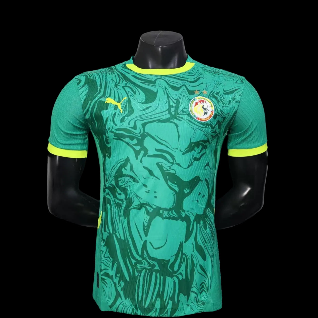 Maillot Extérieur Sénégal ⭐️⭐️