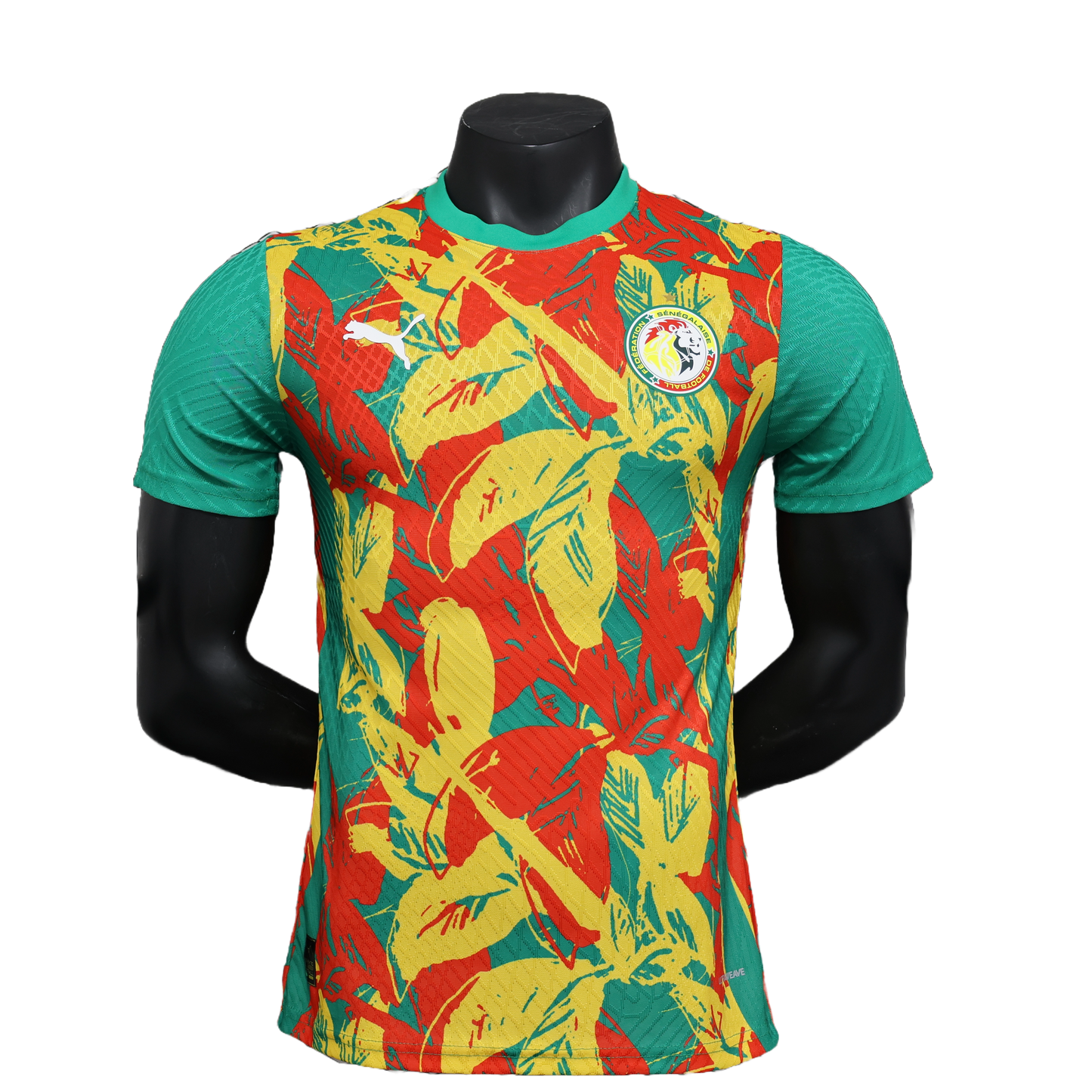 Maillot d’entraînement sénégal