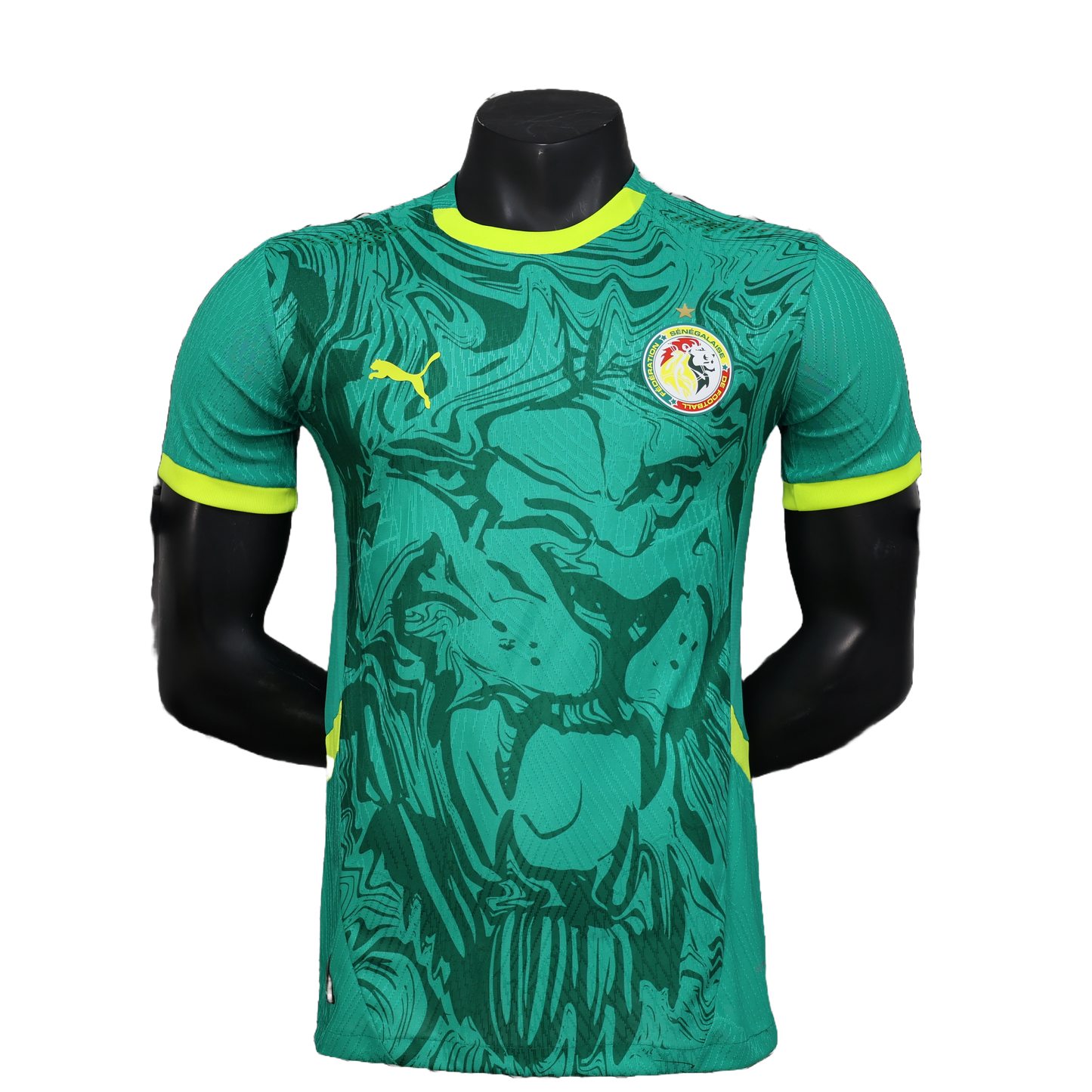 Maillot Extérieur Sénégal 24/25