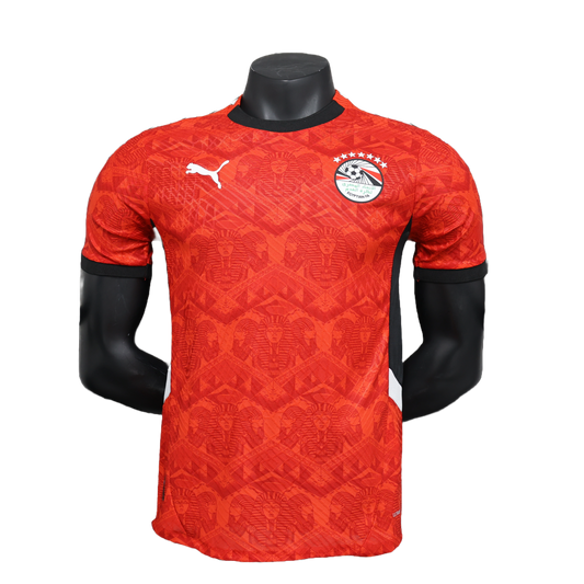Maillot Domicile Égypte 24/25